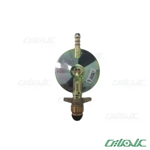 رگلاتور آبگرمکنی بوتان